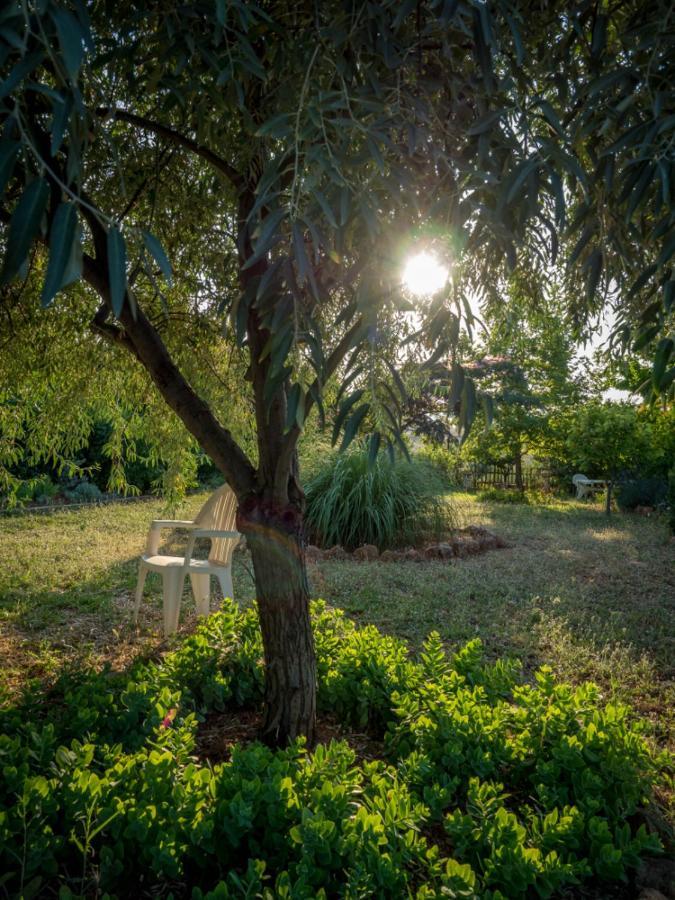Vineyard Country House With Panoramic Seaview Alexandroupoli Eksteriør billede