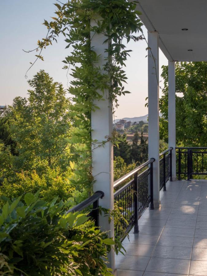 Vineyard Country House With Panoramic Seaview Alexandroupoli Eksteriør billede