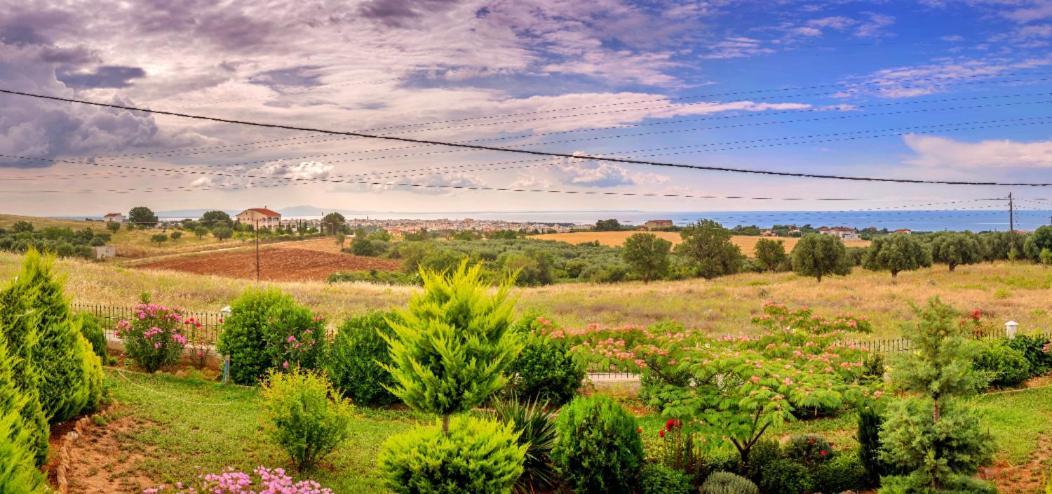 Vineyard Country House With Panoramic Seaview Alexandroupoli Eksteriør billede