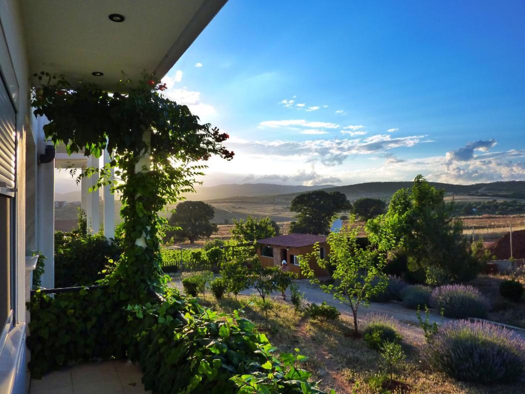 Vineyard Country House With Panoramic Seaview Alexandroupoli Eksteriør billede